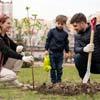Benefits Of Planting Trees In The Modern Era