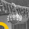 Dahi Handi Now An Official Sport In Maharashtra