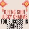 6 Feng Shui Lucky Charms For Success In Business