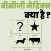 BCG Matrix क्या है ?