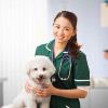 World Veterinary Day 2022 - How to Strengthen Veterinary Resilience?