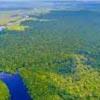 Saving The Amazon Forests: Our Underground World Is Under Threat