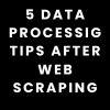 5 Data Processing Tips After Web Scraping