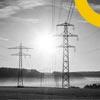 Russia will halt electricity supply to Finland