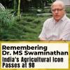 Remembering Dr MS Swaminathan: Father of The Green Revolution in India